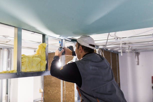 Best Insulation Maintenance and Repair in Hunter, OH