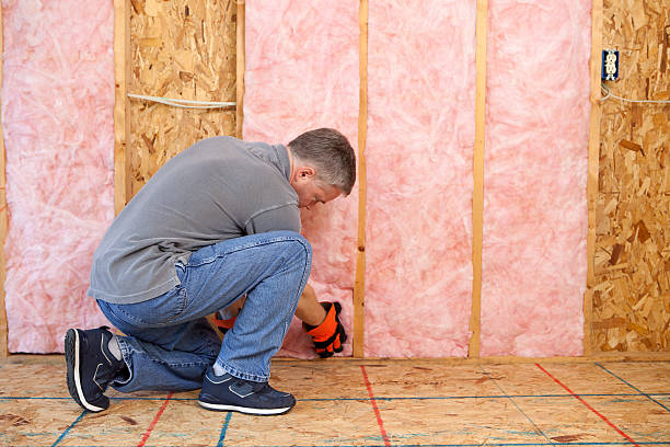 Best Insulation Maintenance and Repair in Hunter, OH