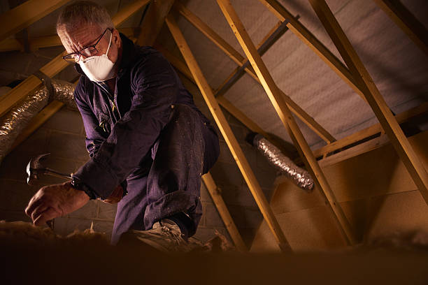Best Specialty Insulation in Hunter, OH
